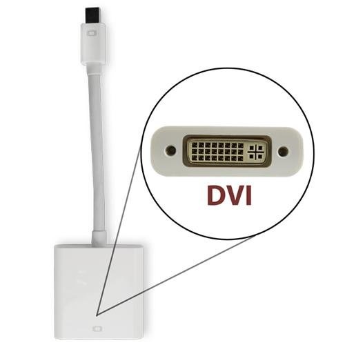 Newer Technology Mini DisplayPort to DVI Adapter